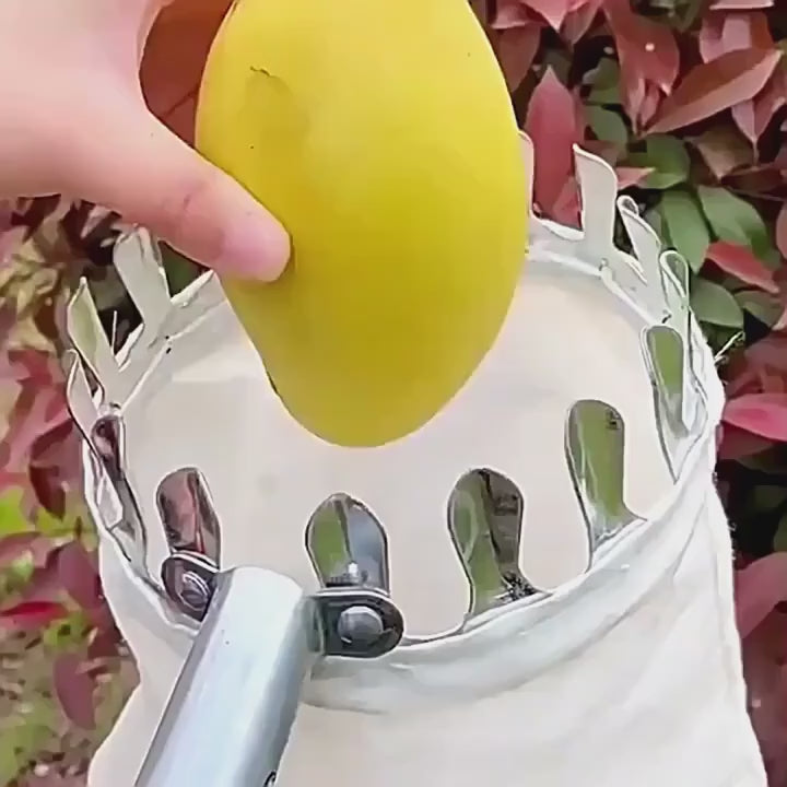 1 Set Fruit Picker Fruit Picking Tool
